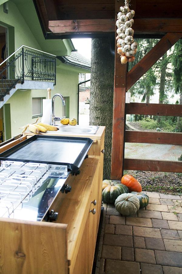 Apartma Pegaz Rogaška Slatina Exteriör bild