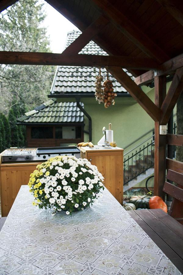 Apartma Pegaz Rogaška Slatina Exteriör bild